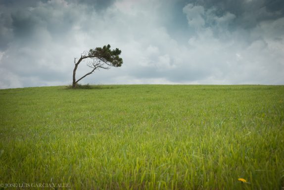 Naturaleza